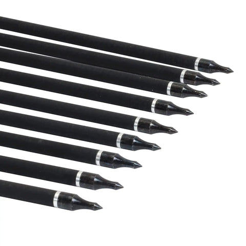 Pro Grade 100 Grain Field Points For Target Practice And Hunting Arrows, 12-Pack, stainless steel screw tips, diagonal view