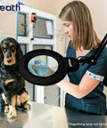 Veterinarian using 6 Wheel Rolling Floor Stand For LED Desk Lamps And Magnifying Lamps With Clamp Portable Base
