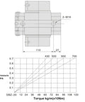 Technical diagram of DBZ20 Pneumatic Air Pressure Disc Brake Type Integral Brake Wire Drawing Machine Brake Cylinder with torque graph.