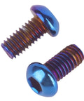 Kickass Titanium Finish M6 Stainless Steel Hex Bolts And Socket Screws For Motorcycle And Car Customs Hella Tough And Corrosion Resistant Burnt Blue Heads Pack Of Ten, close-up view of two screws.