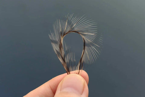 30 Pcs Natural White Black Barred Grizzly Rooster Hackles for streamers wet flies and fly fishing tying feathers close-up