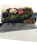 11 By 22 Inch Hot House Plus Seed Starting Kit With Jump Start 81 Pellet Greenhouse and humidity dome with flowers visible