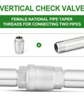 Two 1-inch female vertical check valves, 304 stainless steel, threaded ends, installed between two pipes