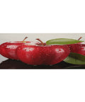 Premium Linen Appliance Dust Covers For Washer Dryer Refrigerator And More Dustproof Breathable Multi Purpose Kitchen Decor Shield For Home Appliances Keeps Dust Off Like A Boss In Style showing printed apple design