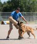 Dog Bite Sleeve Training Pro Grade For Large Dogs Heavy Duty Jute Gear With Safe Padded Arm Sleeve during K9 training