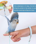 Parrot Flying Training Rope Kit With Five Size Bird Foot Rings For Cockatiels Parakeets Pigeons Outdoor Flying Kit Traction Rope Training Toy To Stop Escaping For Birds 3M Long showing a parrot on a finger with the rope attached.