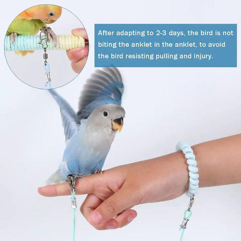 Parrot Flying Training Rope Kit With Five Size Bird Foot Rings For Cockatiels Parakeets Pigeons Outdoor Flying Kit Traction Rope Training Toy To Stop Escaping For Birds 3M Long showing a parrot on a finger with the rope attached.