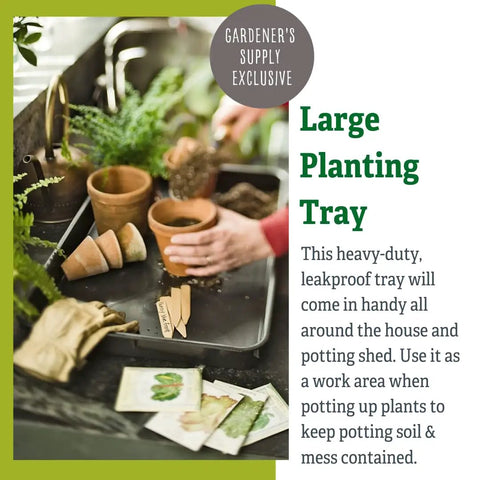 Gardening setup with Large Plant Tray Workhorse, black, holding pots and soil, ideal for indoor and outdoor gardening needs.