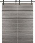Double Barn Door Heavy Duty Hardware Kit For Interior Doors With 13 Foot Rail Hangers And Silver Rail 84 By 96 Inches