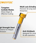 Pro Grade Tungsten Carbide T Slot Router Bit With Rock Solid One Quarter Inch Shank And One Half Inch Width, showing features and details.
