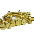 Top Shelf Yellow Brass M1.0 X 6mm Slotted Cheese Head Machine Screws 50 Pack against a white background.