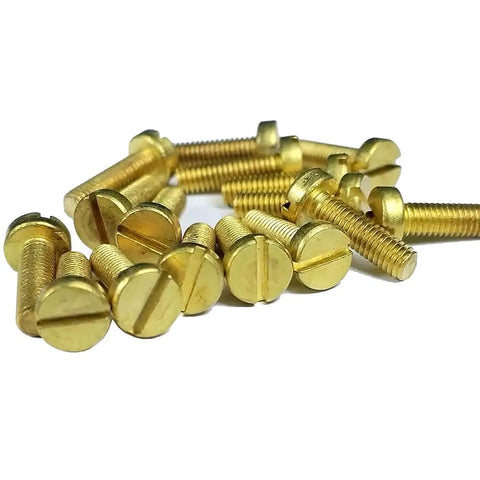 Top Shelf Yellow Brass M1.0 X 6mm Slotted Cheese Head Machine Screws 50 Pack against a white background.