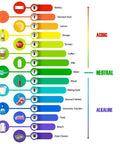 pH scale chart from 0 to 14 with color gradients, shows substances from battery acid to drain cleaner, part of All In One Soil And Water Test Paper Kit