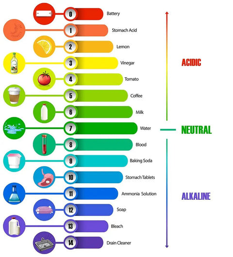 pH scale chart from 0 to 14 with color gradients, shows substances from battery acid to drain cleaner, part of All In One Soil And Water Test Paper Kit