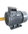 Front view of Three Phase AC Brushless Permanent Magnet Synchronous Variable Frequency Drive Motor With Vertical Speed Control For Industrial Use YYT100L 7.5kW 302W.