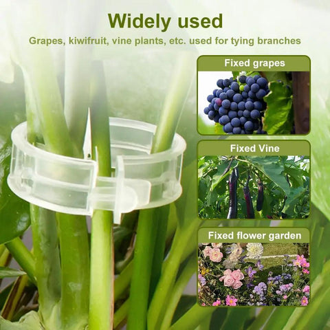 Reusable Plant Support Clips For Garden And Trellis Easy Clamp Plastic Clips For Tomato Stems Flowers Vines And Indoor Outdoor Plants 50 Pack Green Outdoors securing vines and flowers.