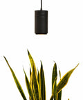 Black luxury plant lamp with aluminum body above plant, Decor Grow Light With Sunset Spectrum Warm White LEDs For Small And Medium Plants.