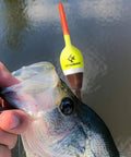 Balsa Fishing Floats Assortment Set For Crappie Panfish Walleyes Spring Bobbers Tackle Kit, fish caught with bobber in water