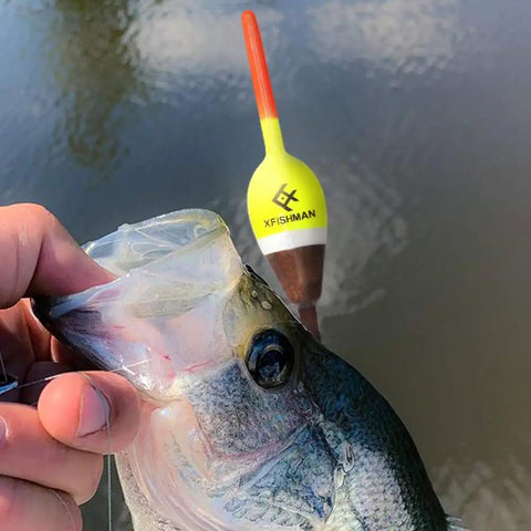 Balsa Fishing Floats Assortment Set For Crappie Panfish Walleyes Spring Bobbers Tackle Kit, fish caught with bobber in water