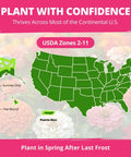 USDA zones map for Zinnia Dahlia Seeds Pack 524 Premium Seeds For 2026 Non GMO Garden Blooms With Vibrant Double Flowers