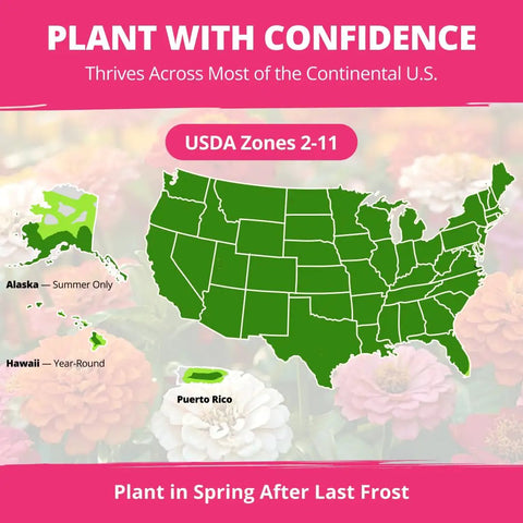 USDA zones map for Zinnia Dahlia Seeds Pack 524 Premium Seeds For 2026 Non GMO Garden Blooms With Vibrant Double Flowers