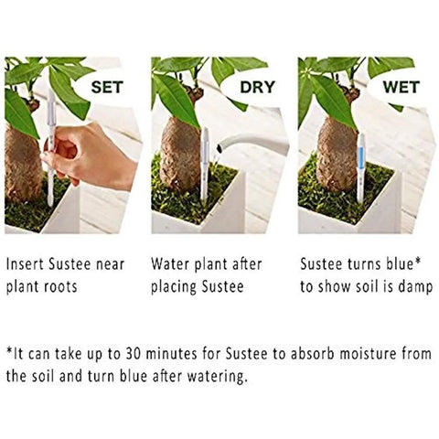 Bundle Of 2 Small Green Refillable Soil Moisture Meters For Indoor Potted Plants Leave In Probes That Continuously Track Soil Moisture Humidity And Water Level For Succulents And Small Pots No Fuss, set dry wet guide