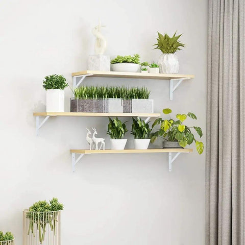 Floating shelves with plants using Heavy Duty 10 Inch L Shelf Brackets 6 Pack White Triangular 90 Degree Metal Supports