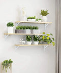 12 Inch Heavy Duty L Shelf Brackets Set Of 6 for DIY floating shelves, 90 degree metal supports in white finish with plants on shelves.