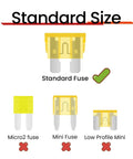 Standard automotive fuse comparison showing standard size and micro, mini, low profile fuses for efficient replacement.