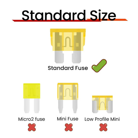 Standard automotive fuse comparison showing standard size and micro, mini, low profile fuses for efficient replacement.