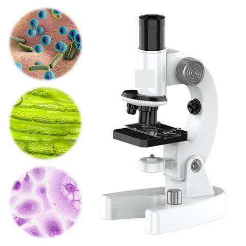 High Power 200X to 4800X LED Monocular Microscope With Slides Set for Adults and Students Ideal for School Labs Homeschool and Hands On Science Projects, white color microscope with three sample images