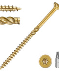 Workhorse Number 10 By 4 Inch Golden Deck Screws With T25 Torx Star Drive and Bugle Head for interior exterior use