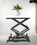 Heavy Duty Electric Scissor Lift Table Rises Smooth With Hydraulic Pump For Factory Work And Warehouse Lifting Up To 140 Pounds Of Steel Goods Or Equipment Effortlessly Today with plant on top.