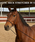Elastic Horse Training Reins For Lunging And Groundwork Adjustable Neck Stretcher in use on horse in arena