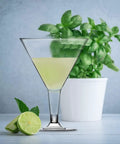 Martini Glasses Set 24 Pack 7 Oz BPA Free Plastic Cocktail Cups For Outdoor Parties Weddings Picnics Stackable Stemmed