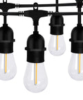 Close-up of Two 50 Foot Dimmable Edison Style Shatterproof String Lights With 32 LED Bulbs 100 Feet Total Weatherproof Commercial Grade