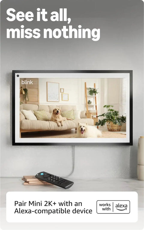 Hella Crisp Two Pack Indoor Security Cameras Running Smooth With 2K Video Resolution showing two dogs on a couch in a well-lit room.