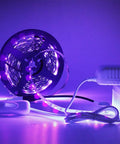 12V DC Power Supply With On Off Switch For LED Strip Lights, 2A 24W White Wall Wart Adapter, 100-240V AC Input, 12V 2A Output, Includes 5.5 By 2.1 Millimeter DC Female Connector, Easy Plug And Play. powering purple LED strip lights