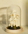 Mushroom Night Light In Glass Dome LED Decor With Wooden Base For Home Decor Gifts Dope Way To Spruce Up Weddings Birthdays