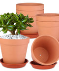 Six Pack 6 Inch Terracotta Pots With Saucers For Indoor Outdoor Plants Drainage Hole Mesh Liners Included Great For Crafts And Wedding Favors Great For Gifting And Decor displayed with plant and saucers