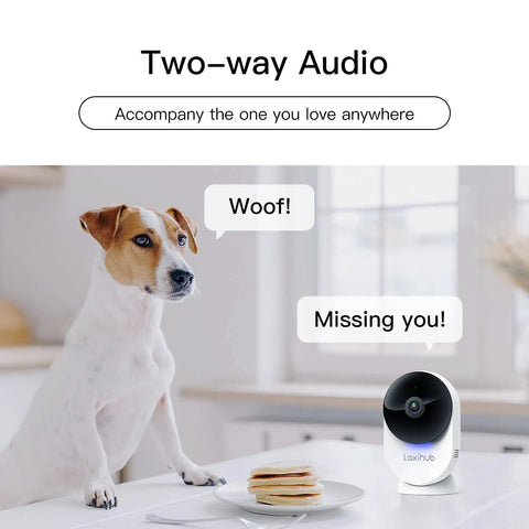 Cute dog with pancakes near All In One 1080P FHD WiFi Security Camera For Indoor Baby Monitor showcasing two-way audio feature.