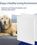 Replacement Filter For Winix D480 Air Purifier True HEPA 17 By 14 By 1 Inch 4 Pack near dog on couch, removes pet odors