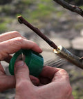 Two Pack Stretchable Grafting Tape For Garden Pros And Green Thumbs Waterproof Self Adhering Budding Tape Ideal For Floral Fruit Tree And Poly Budding 3 Cm Wide 100 M Long Green And White being used on tree branch.
