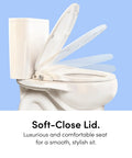 Smooth Non Electric Bidet Toilet Seat Elongated Design With Bamboo Knob Soft-close lid shown on toilet.