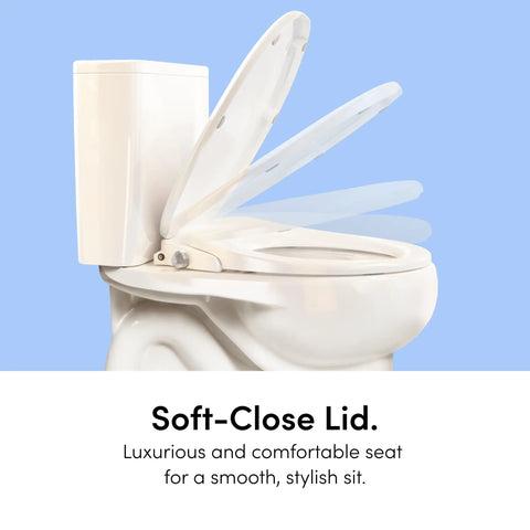Smooth Non Electric Bidet Toilet Seat Elongated Design With Bamboo Knob Soft-close lid shown on toilet.