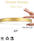 Hand holding Gold 12 Inch Flush Mount Ceiling Light With 3 Color Temperature Adjustable From 3000K To 5000K, 20W Round LED Fixture