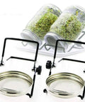 Straight Up Premium Stainless Steel Sprouting Lids And Stands For Wide Mouth Mason Jars, two lids with stands and sprouted seeds.