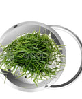 Invisible Round Drain Cover For Lawn And Landscaping, Rust Resistant 304 Stainless Steel, grass covered lid visible