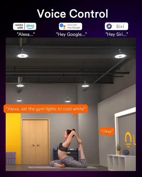 Bluetooth Mesh Gateway Hub for UFO High Bay Lights and Deck Lights controlling gym lights via voice command with Alexa.