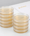 Stacked Ready To Use Prepoured Sterile Petri Dishes 70mm With Nutrient Agar And Lids for mold testing and microbiology projects